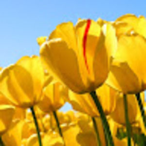 Meet your Posher, Claudia